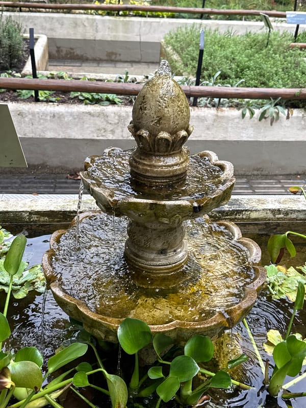 Botanical garden tour documented in Rio de Janeiro