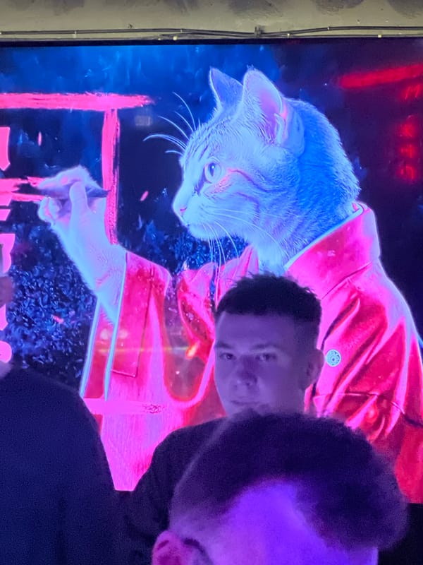 Cat in red jacket shown on public TV screen in Novosibirsk