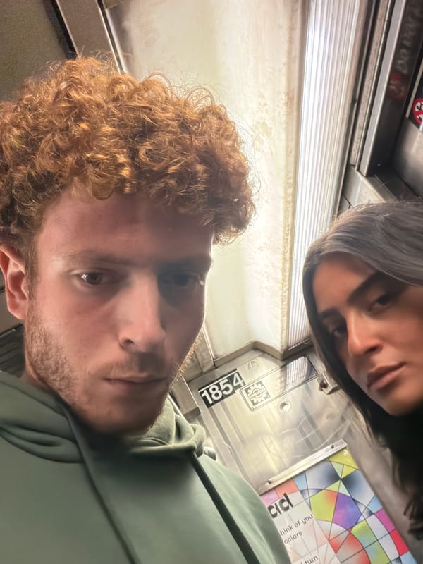 Couple spotted on NYC subway train in Manhattan