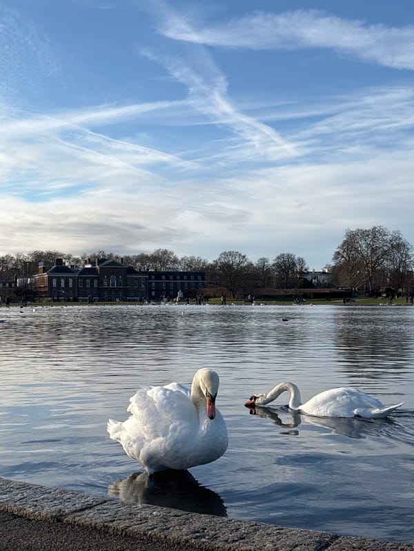 Daytime scene captured at Kensington Gardens Round Pond