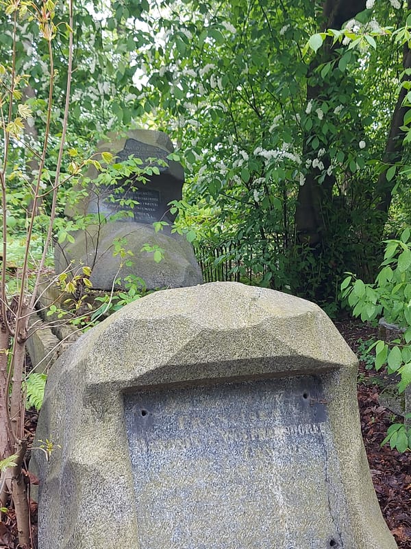 Morning cemetery walk documented in Saint Petersburg's Tikhvin Cemetery