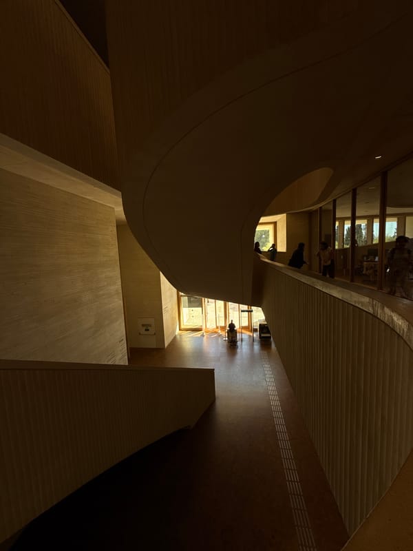 Curved, light-filled modern interior in Jerusalem