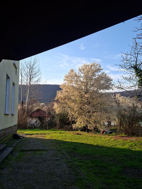 Outdoor scene captured in Rebarkovo showing architecture and nature