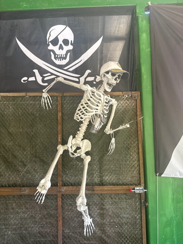 Skeleton in baseball cap spotted in Lukovit, Bulgaria