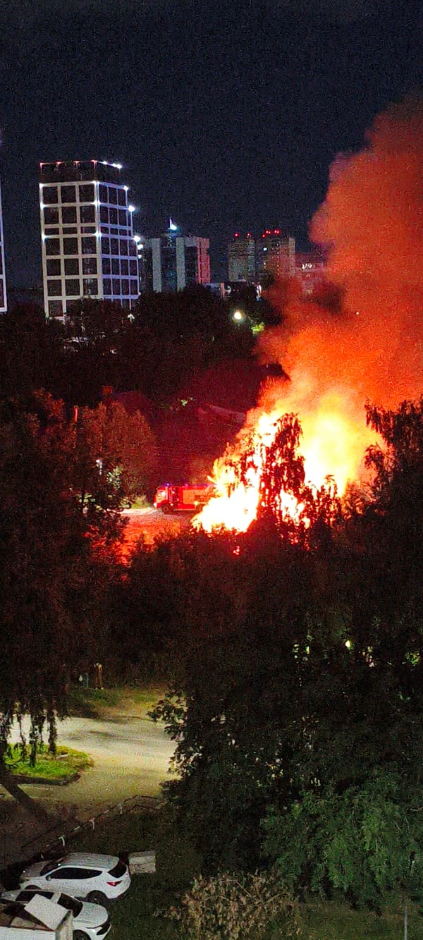 Large nighttime fire burns through treed area in Izhevsk
