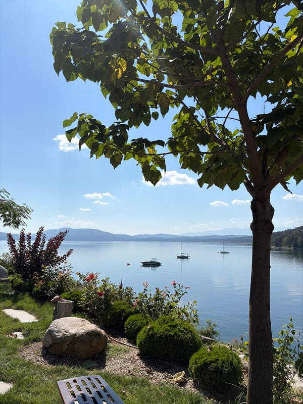 Calm lakes and bays under clear summer skies