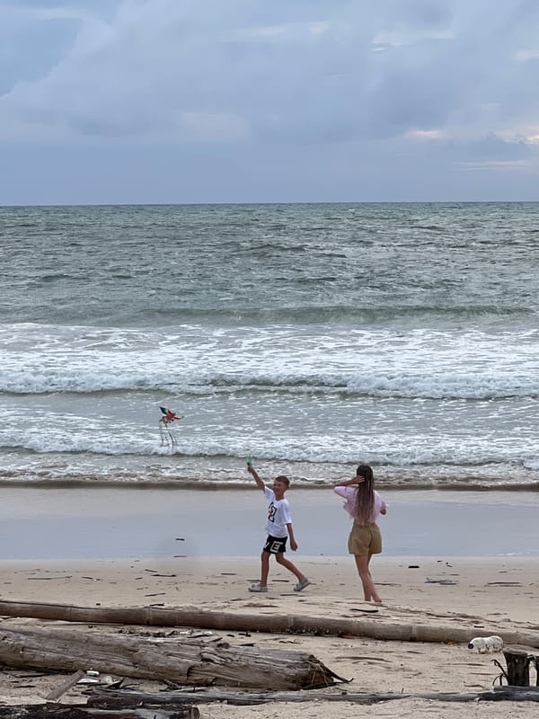 Cloudy beach morning with roosters, walkers, and driftwood
