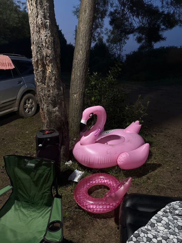 Lakeside camping evening near Chaikovsky, Russia