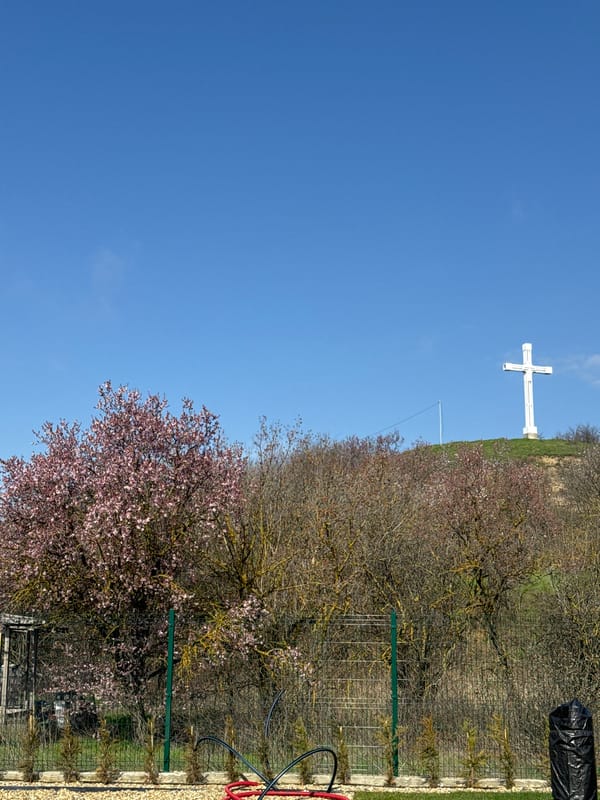 White cross monument observed amid spring blooms in Varna