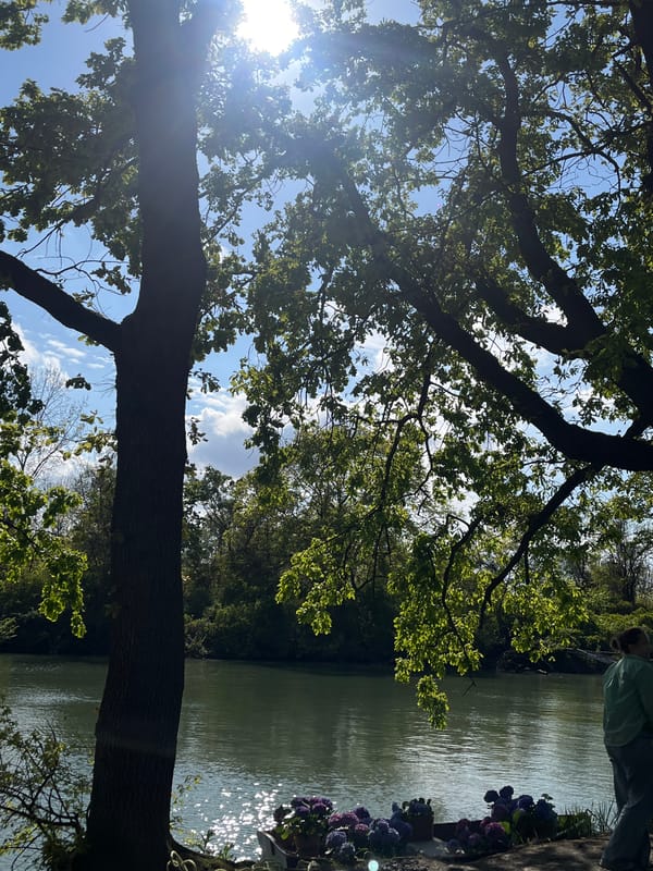 Spring afternoon park visit documented in Krasnodar waterfront area