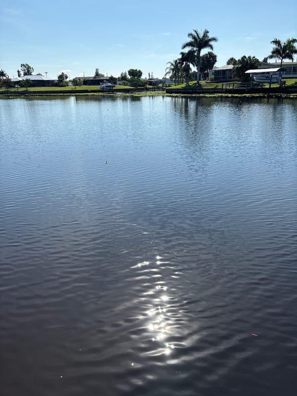 Quiet afternoon along North Port's residential canals