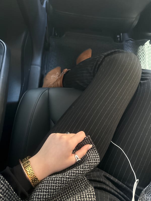 Person in vehicle, handbag contents documented in Yerevan