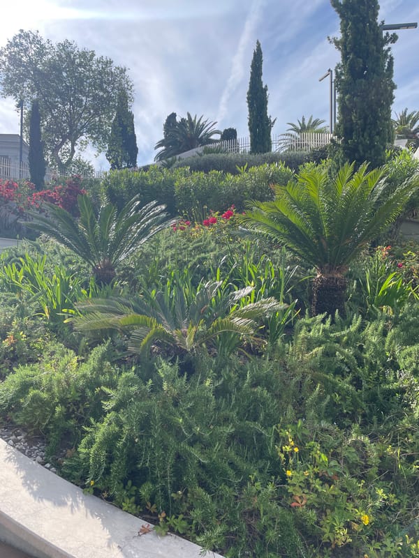 Sunny afternoon tour of Sochi's gardens, beaches and architecture
