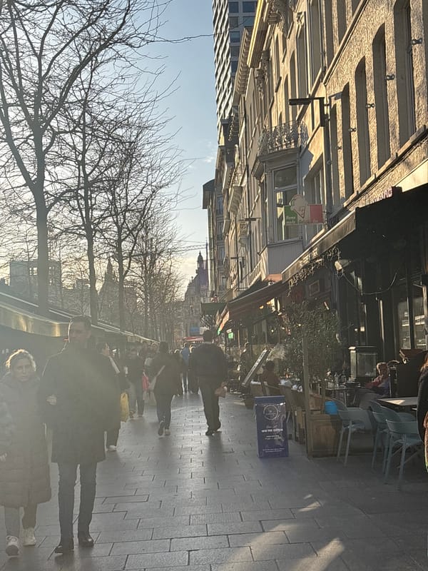 Sunny afternoon street scene captured in Antwerp, Belgium
