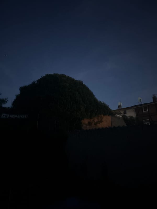 Moonlit night, rooftops, clouds, and an embroidered deer