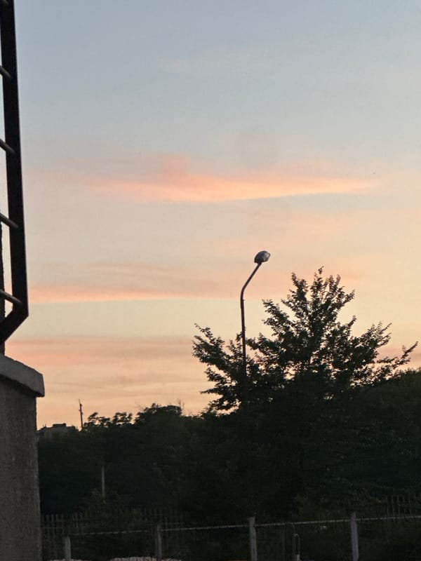 Evening sky with orange streaks photographed near tree and streetlight