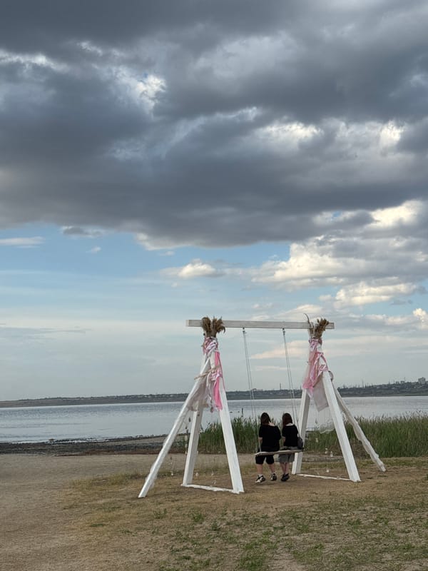 Wildflowers, thistles, and estuary views along Odesa's Kuyalnik shore
