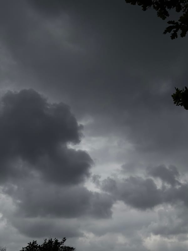 Rainy day fishing session documented in Krasnodar, Russia