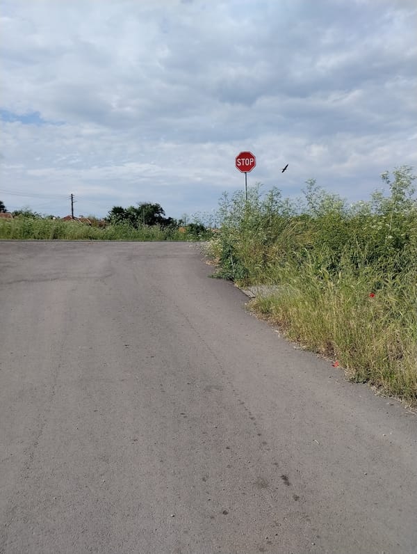 Rural road and grassland documented in Roza, Bulgaria