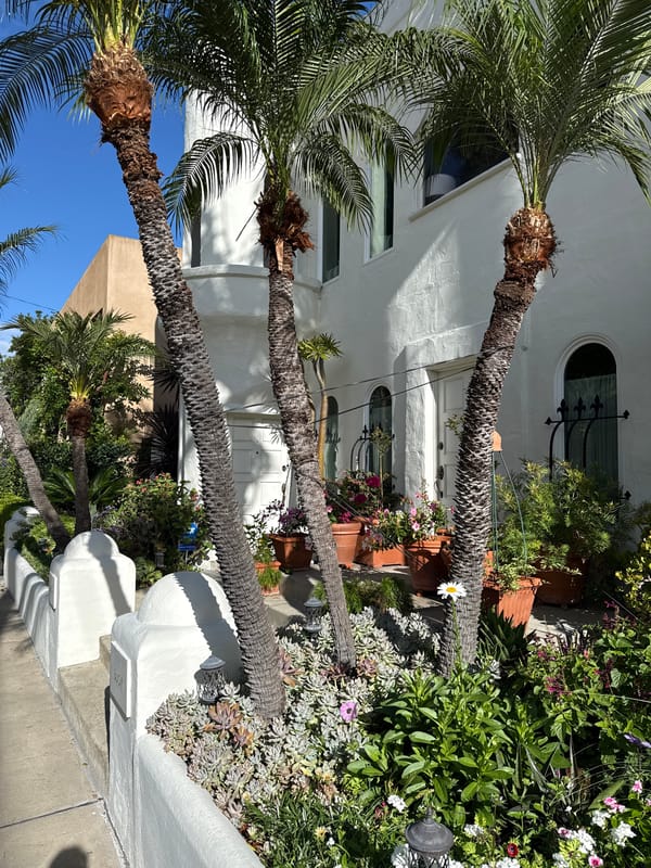 Routine neighborhood scenes documented across Los Angeles residential area Monday afternoon