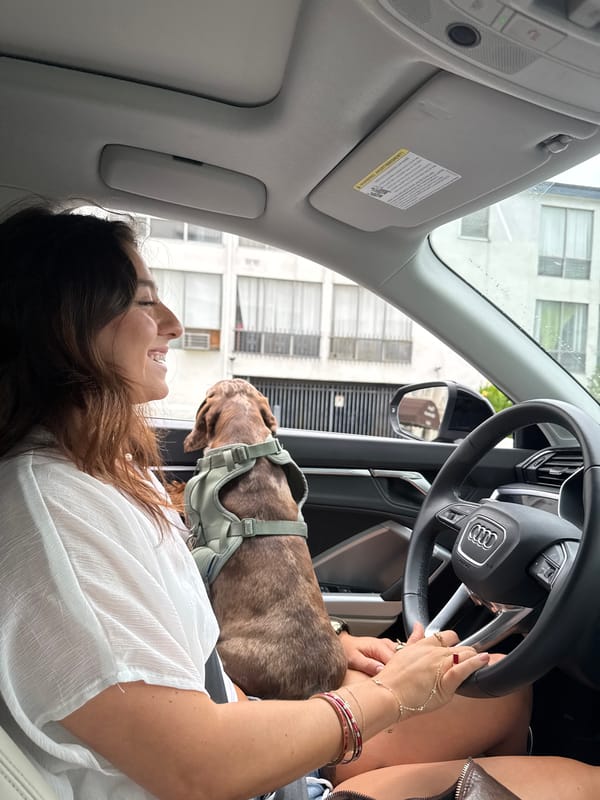 Woman and brindle dog share driver's seat in LA Audi