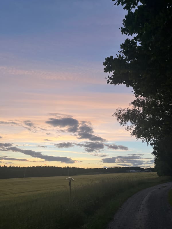 Rural sunset scene captured along dirt road through fields