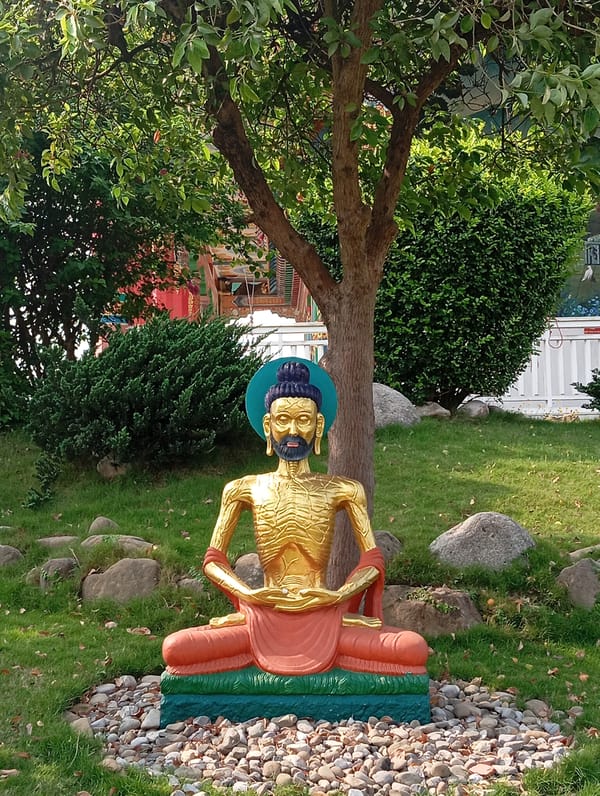 Visitor documents Buddhist temples and religious art in Lumbini