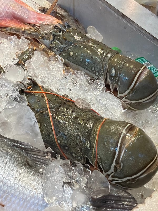 Ko Samui market and boutique shopping: seafood, luxury goods, accessories