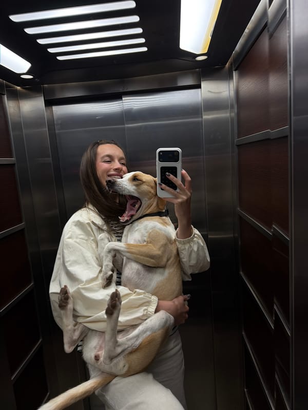 Woman takes selfies with dog in Budva hotel room