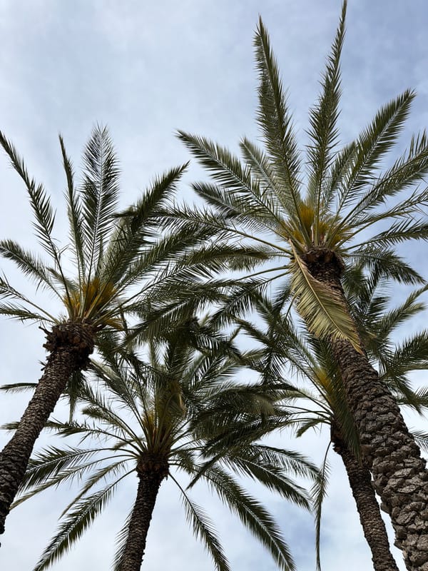 Tel Aviv street scenes and architecture documented during afternoon walk