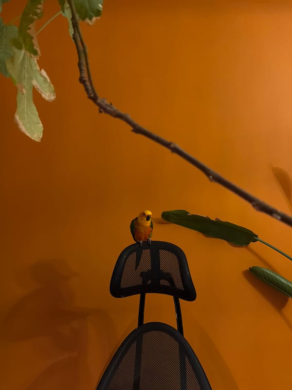 Woman and child play with colorful parrot in Khimki home