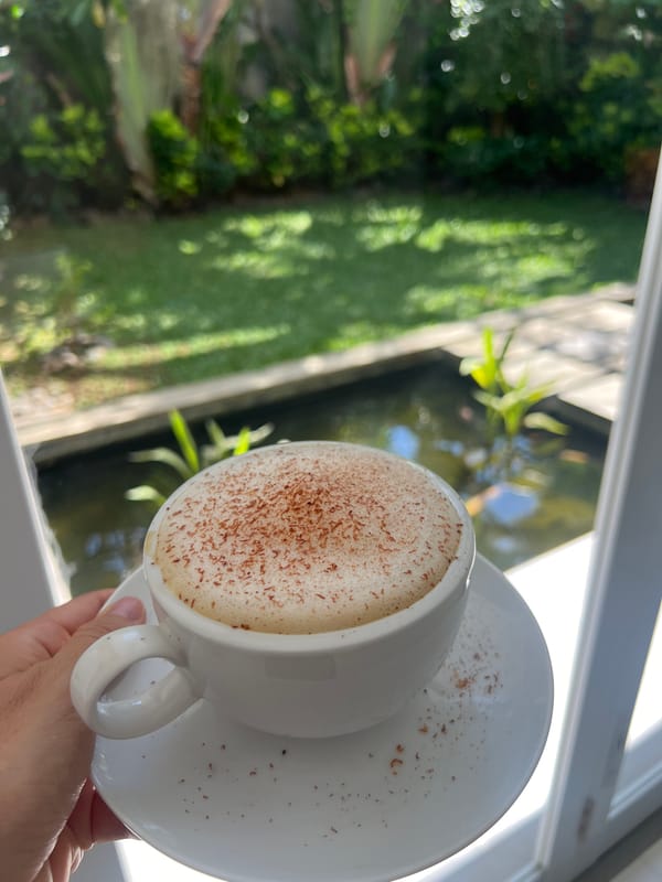 Late night domestic scenes: dog, garden pond, morning beverage