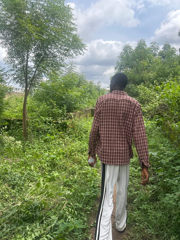 Person walks through green landscape in Ogbomosho, Nigeria
