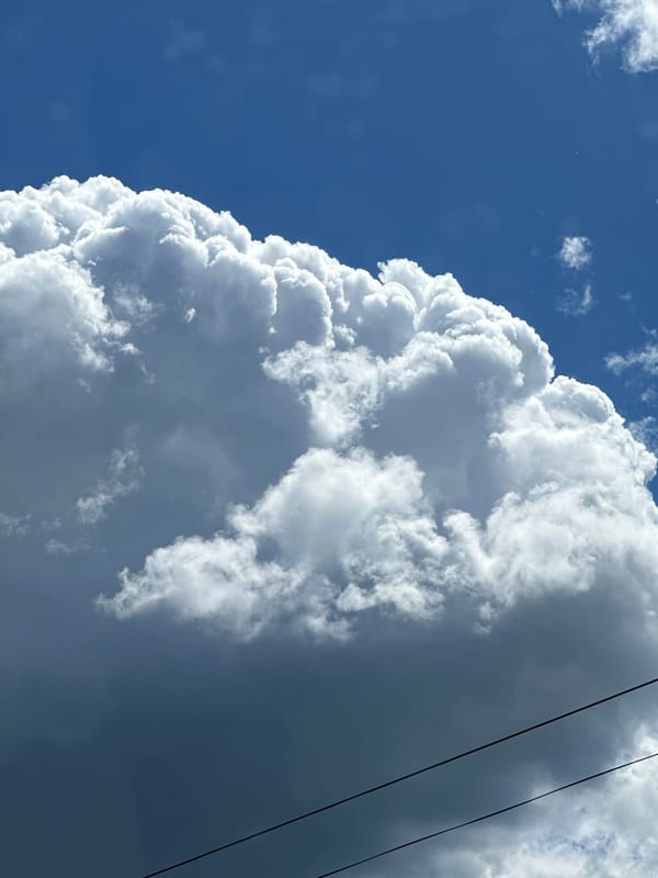 Morning observations: dramatic clouds and yawning cat witnessed
