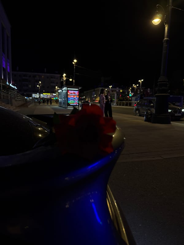 Nighttime drive through Perm captured with rose in frame