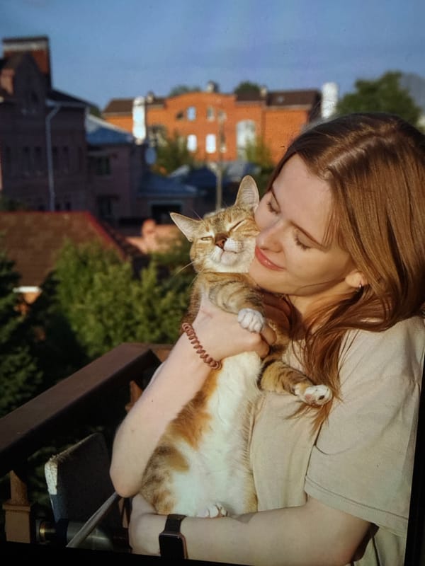 Cat moments documented across Vologda apartments during evening hours