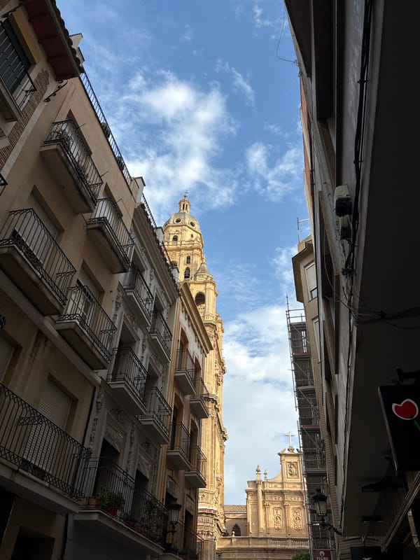Afternoon visit to Murcia Cathedral and its surrounding plaza
