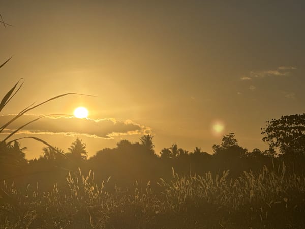 Sunset observed over coconut palms in Kiblawan, Philippines