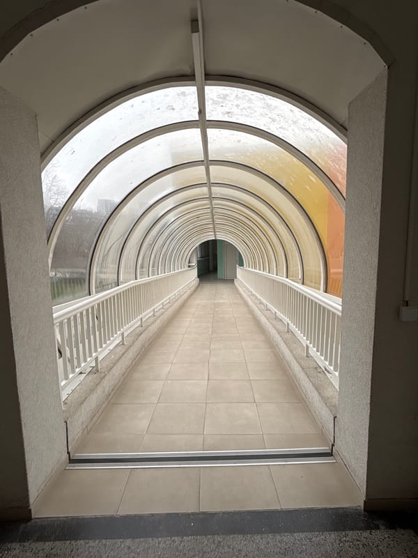 Morning photography captures architecture and cat in Varna
