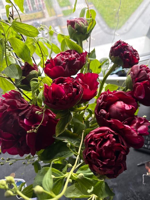 Personal moments with flowers and keepsakes documented in Saint Petersburg