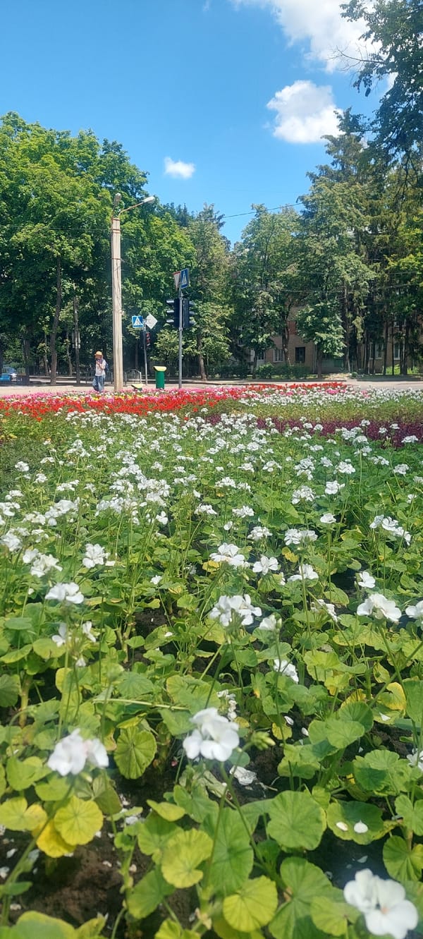 Morning street life documented across Kharkiv, Ukraine