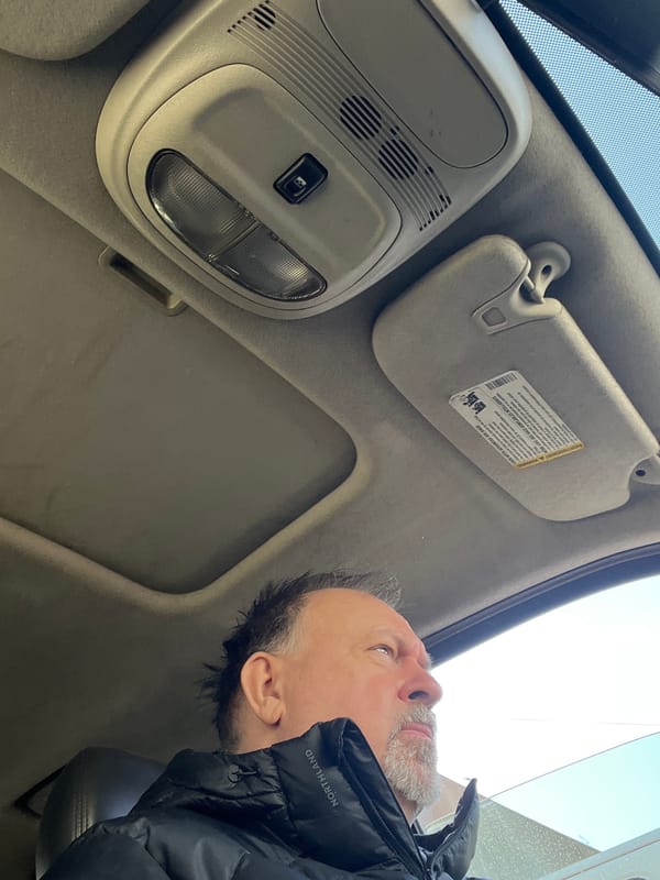 Man takes multiple selfies in car interior in Podolsk