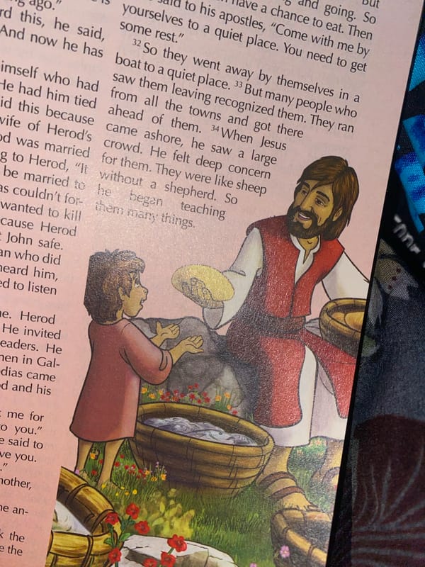Paging through an illustrated Bible in Taraba State, Nigeria