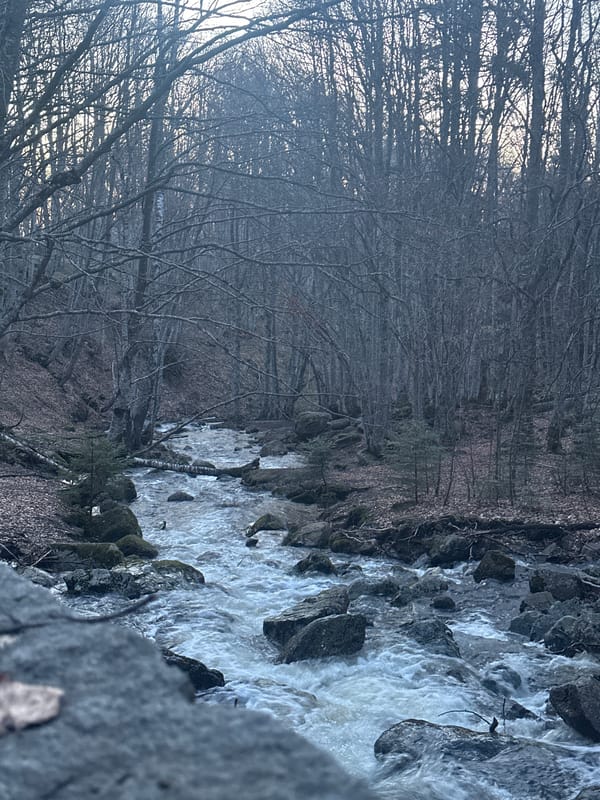 Evening nature photography session captures Sofia countryside streams, sunset