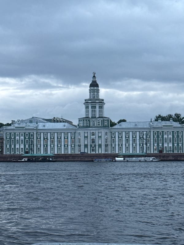 Evening tour of Saint Petersburg's historic center and monuments