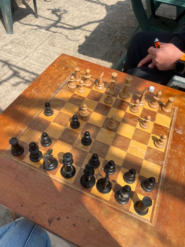 Chess game and boy with dog captured in Hrishteni