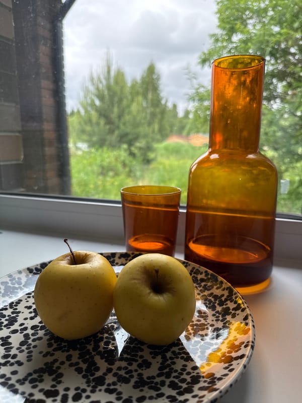 Morning domestic scenes documented in Izhevsk home