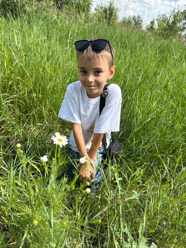 Wildflowers and neighborhood life on a summer morning in Rudny