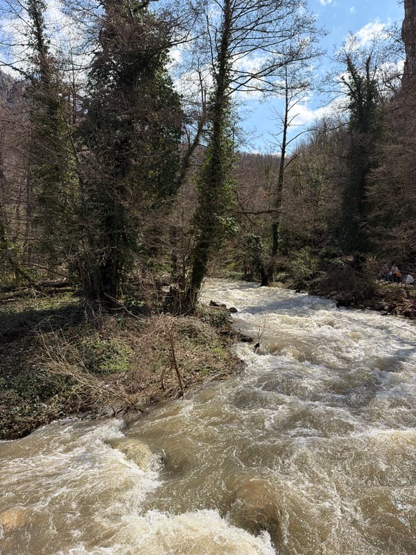 Turbulent river and cliff formations observed near Dryanovo, Bulgaria