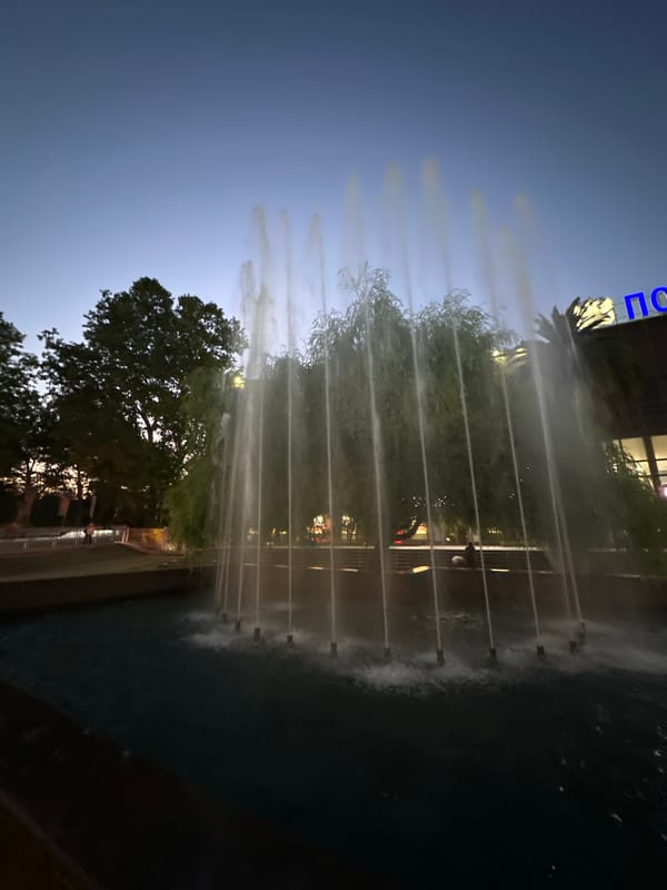Sochi park scenes: fountains, palms, and summer flower beds